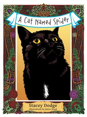 cover image of A Cat Named Spider